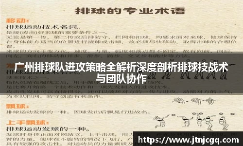 广州排球队进攻策略全解析深度剖析排球技战术与团队协作